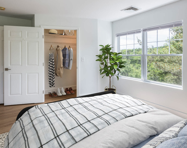 790 Willard Street - Photo Thumbnail 23