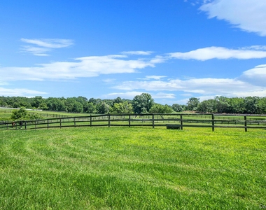 1394 Main Road - Photo Thumbnail 33