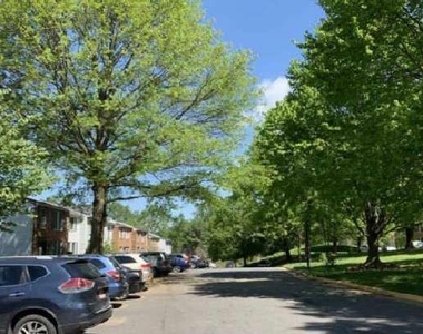 2124 Glenn Spring Court - Photo Thumbnail 5