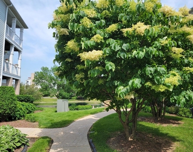 1259 W Lake Street - Photo Thumbnail 11