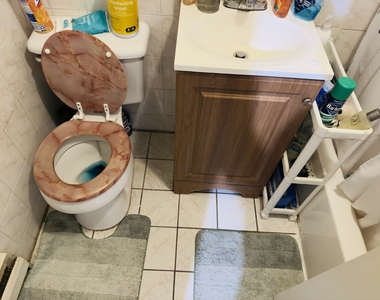 446 Herkimer Street - Photo Thumbnail 4