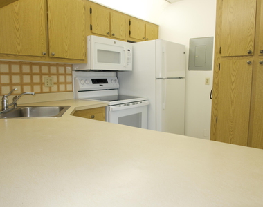 208 Foxtail Drive - Photo Thumbnail 16