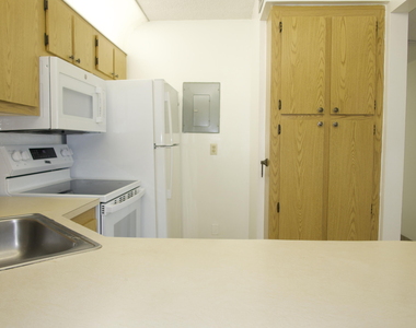 208 Foxtail Drive - Photo Thumbnail 20