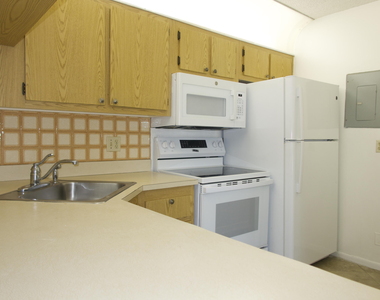 208 Foxtail Drive - Photo Thumbnail 19