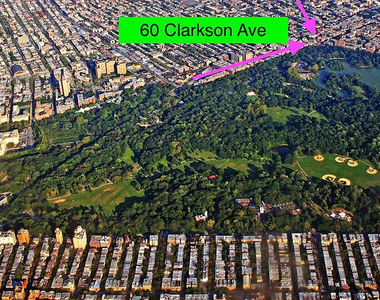 62 Clarkson Avenue - Photo Thumbnail 7
