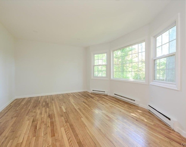 43 Evert Street - Photo Thumbnail 4