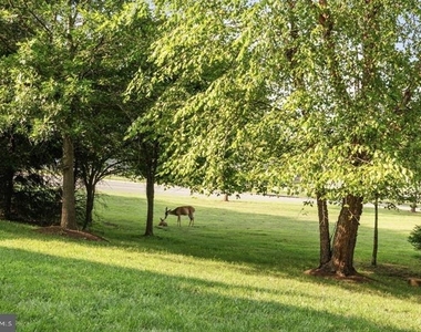 43770 Lees Mill Square - Photo Thumbnail 34
