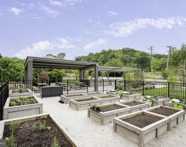 6230 Almerico Place - Photo Thumbnail 64