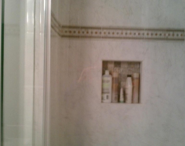 4509 Harling Lane - Photo Thumbnail 36