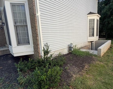 3522 Forest Haven Drive - Photo Thumbnail 12
