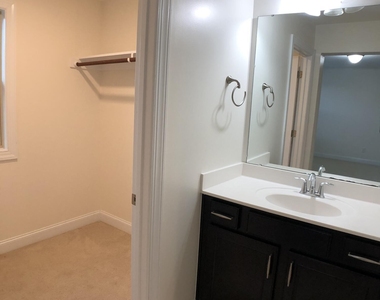 1522 Paros Hill Lane - Photo Thumbnail 19