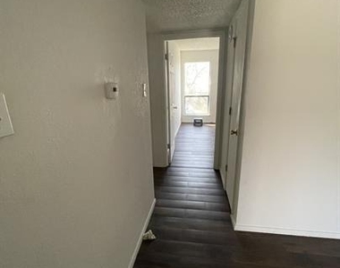 1101 Bois Darc St - Photo Thumbnail 3