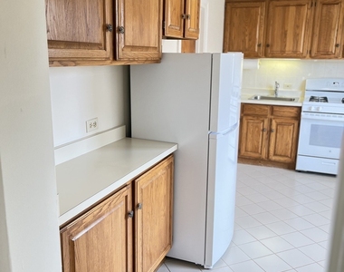 1310 Wilmette Avenue - Photo Thumbnail 20