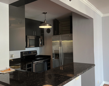 195 N Harbor Drive - Photo Thumbnail 6