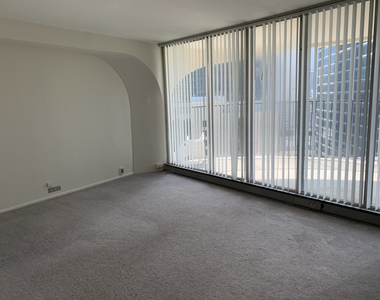 195 N Harbor Drive - Photo Thumbnail 10