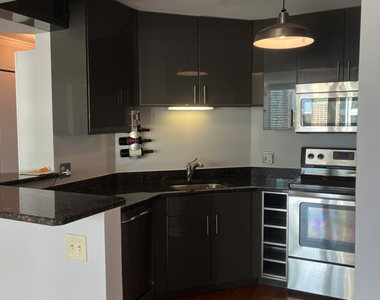 195 N Harbor Drive - Photo Thumbnail 7