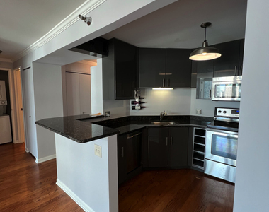 195 N Harbor Drive - Photo Thumbnail 8