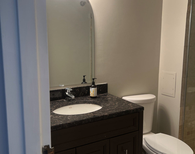 195 N Harbor Drive - Photo Thumbnail 18
