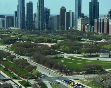 195 N Harbor Drive - Photo Thumbnail 23