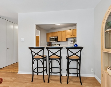 211 E Ohio Street - Photo Thumbnail 7