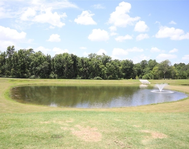 216 Lantana Ln - Photo Thumbnail 43