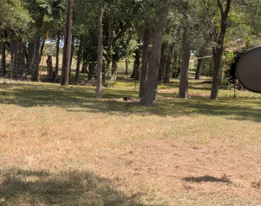 1139 County Rd 403 - Photo Thumbnail 34