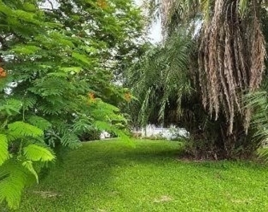 823 Courtington Lane - Photo Thumbnail 7