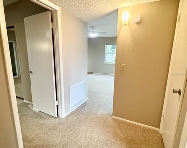 2402 Ecuadorian Way - Photo Thumbnail 22