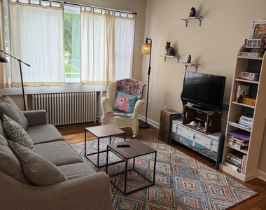 33 Matilda Terrace - Photo Thumbnail 11
