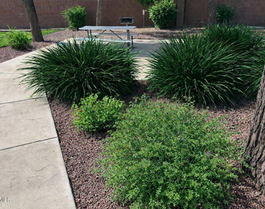 4106 E Chambers Street - Photo Thumbnail 31