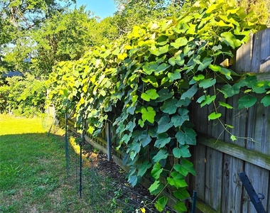 3926 White Oak Court - Photo Thumbnail 18