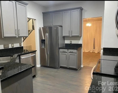 519 Delburg Street - Photo Thumbnail 2