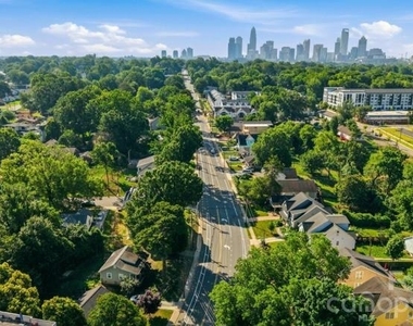 2508 Rozzelles Ferry Road - Photo Thumbnail 29
