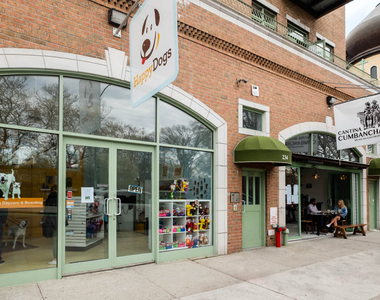 239 North 9th Street - Photo Thumbnail 47