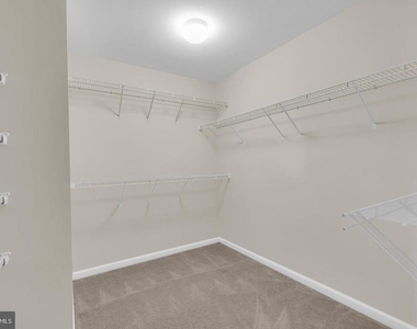 25284 Arrowroot Terrace - Photo Thumbnail 11