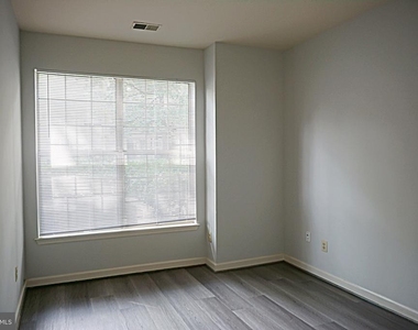 10824 Antigua Terrace - Photo Thumbnail 16