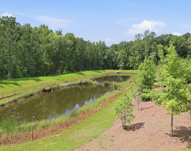 1101 Aberleigh Lane - Photo Thumbnail 52