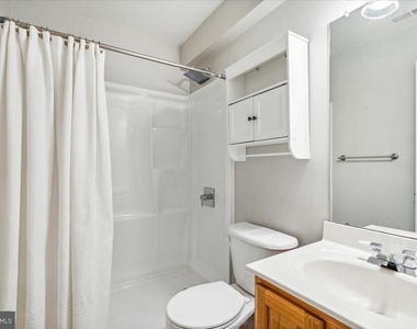 2442 Rippling Brook Road - Photo Thumbnail 36