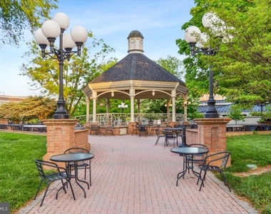 2442 Rippling Brook Road - Photo Thumbnail 48