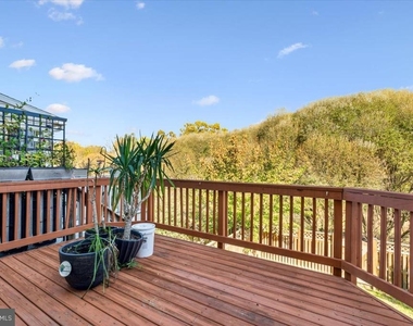 2442 Rippling Brook Road - Photo Thumbnail 16