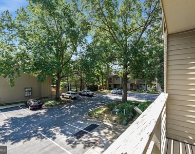 6 Belvedere Court - Photo Thumbnail 36
