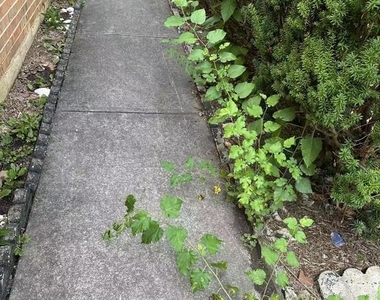 26 Cornwall Drive - Photo Thumbnail 13