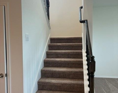 4040 Terracina Dr - Photo Thumbnail 11
