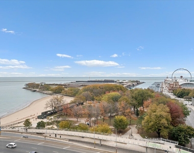 530 N Lake Shore Drive - Photo Thumbnail 11