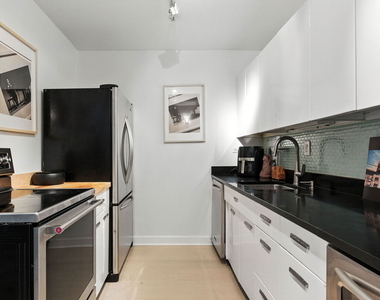 900 N Lake Shore Drive - Photo Thumbnail 6