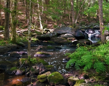 44 Suncook Valley - Photo Thumbnail 49