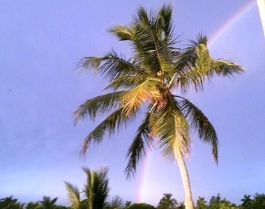 4001 Gulf Shore Boulevard N - Photo Thumbnail 31