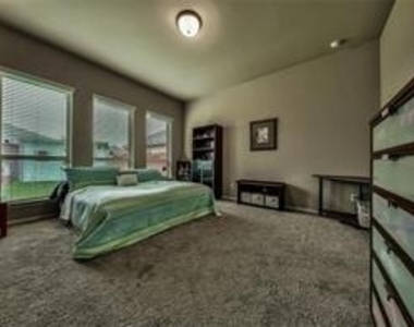 26418 Harmony Mill Court - Photo Thumbnail 11