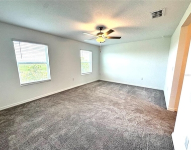 32235 Powderpuff Mimosa Drive - Photo Thumbnail 20