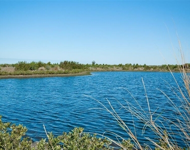 401 Palm Tree Drive - Photo Thumbnail 46